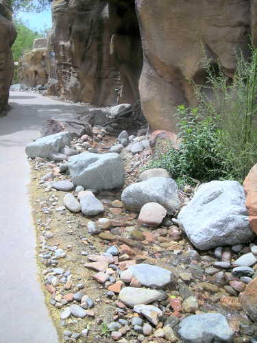 Las Vegas Springs Preserve